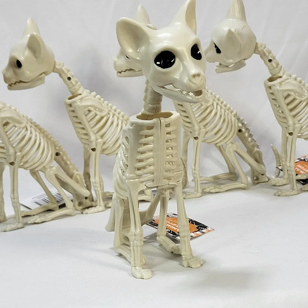 Halloween Kitty Cat Animal Skeleton 7.2